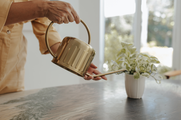 Staninless Steel Watering Can