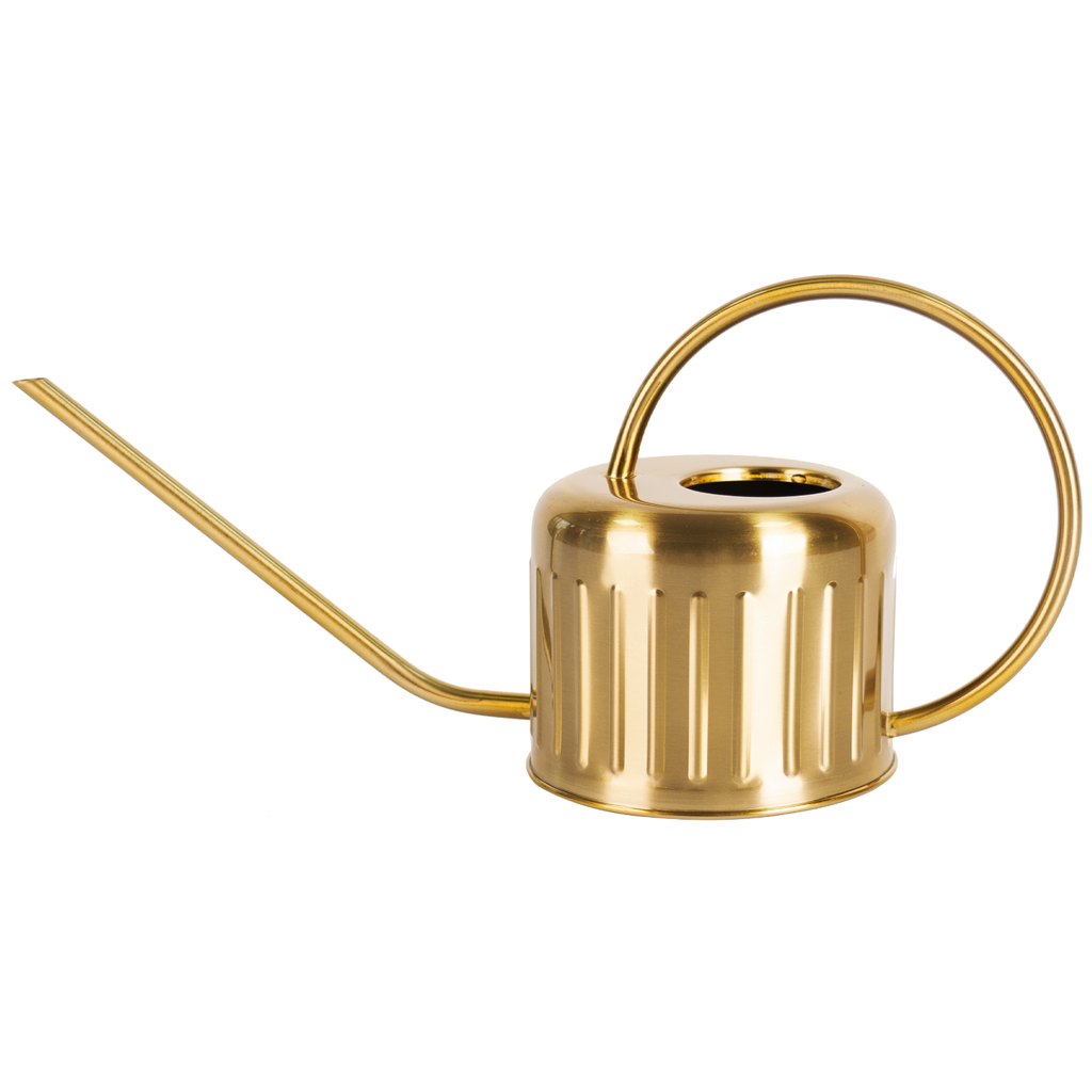 Staninless Steel Watering Can