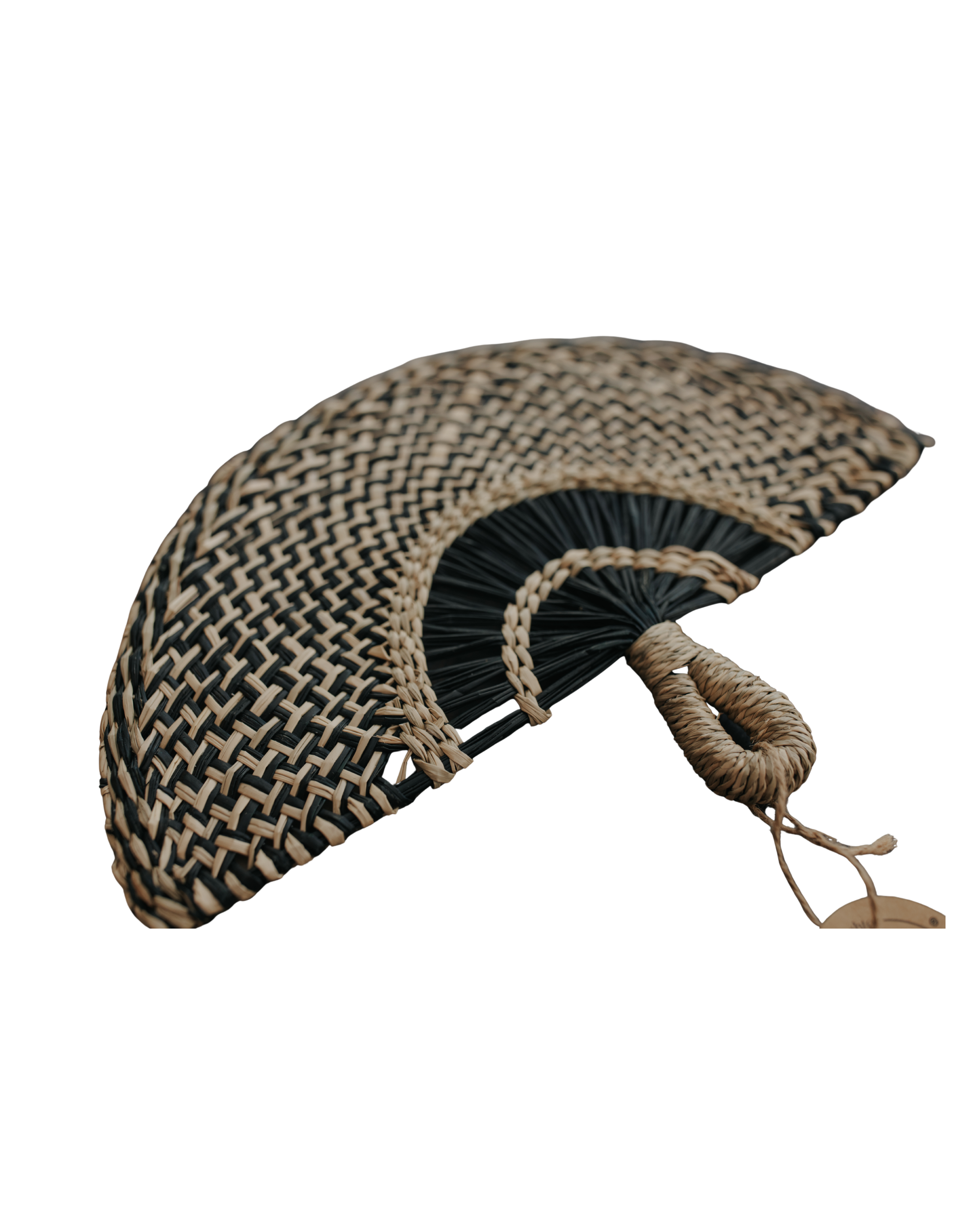 Seagrass Fan
